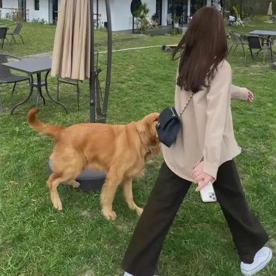 罗莎·卢森堡